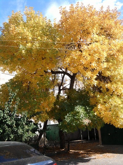 Yeltsin and Ter-Petrossian (2007)