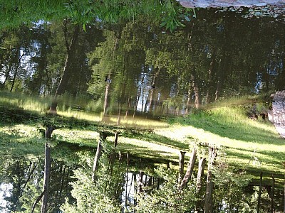 Большой проект и его современный контекст: о законе, власти и архаическом сознании ЧАСТЬ ПЕРВАЯ.