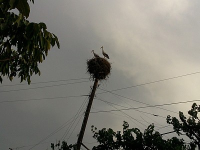 Interview from Vilnius Eastern Partnership Summit