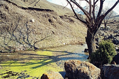 Մտածելով Հարավային Կովկասի ապագայի մասին