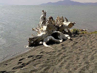 Что такое рациональность