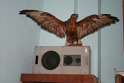 Общественное мнение и стереотипы