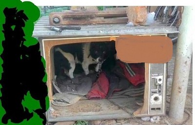 Flapping sails, or If the TVs of the entire world...