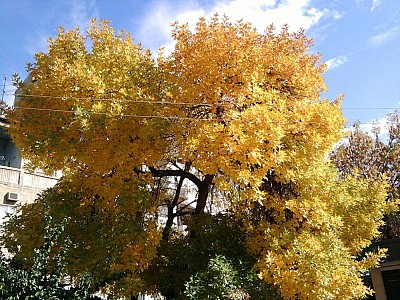 Culture and Civilization. What is it that Russia did that made the world worried