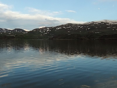 History in The Opposite Direction, in Arm., 2017