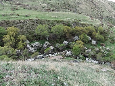 Потерянные критерии