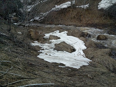 Ստրուգացկի եղբայրների ստեղծագործության մասին