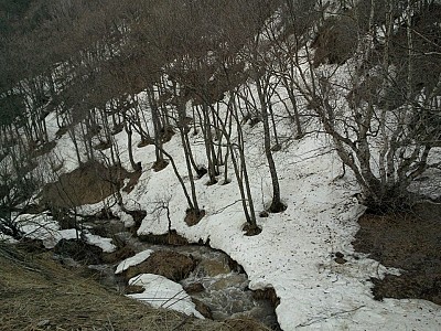 Nouneh Dilanyan: A gaze from the hall of the Godless Movie Theater