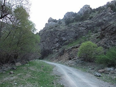 Գրականության նոր չափորոշիչներ