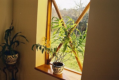 Глаз созерцателя