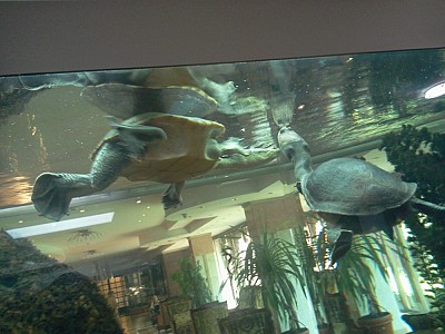 An individual must influence his small environment so that the word of hatred does not spread. GTG