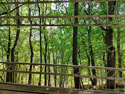 Մեզանում պետությունն ավելի փոքր արժեք է, քան ազգը, սփյուռքում` հատկապես.