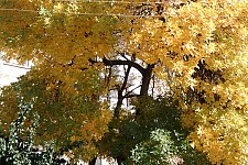 Yeltsin and Ter-Petrossian (2007)