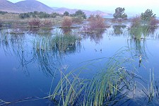 Social Construction of a Conflict (1996, 2011)