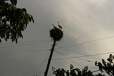 Interview from Vilnius Eastern Partnership Summit