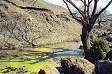 Thinking about the future of South Caucasus