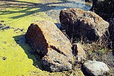 Banditism and Pillage