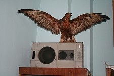 Public Opinion and Stereotypes