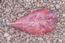 The Bottom Line of Methodology