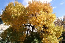 Culture and Civilization. What is it that Russia did that made the world worried