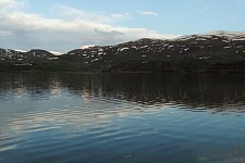 History in The Opposite Direction, in Arm., 2017