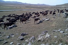 The 'Inspection as it is' story