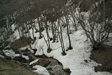 Nouneh Dilanyan: A gaze from the hall of the Godless Movie Theater