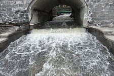 An interview for the 'Human' project