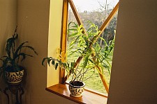 The eye of the contemplator