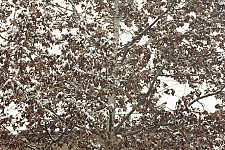 'Isn't it?' from the