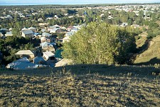 Reflections in the days of wedding festering