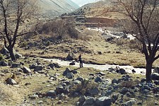 The Great Cosmic glow