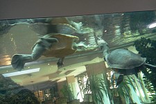 An individual must influence his small environment so that the word of hatred does not spread. GTG